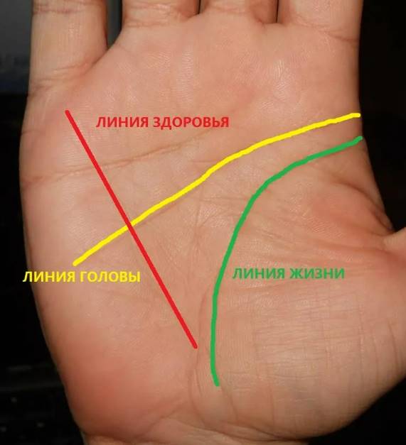 Линии на правой руке и их значение, по какой руке гадают